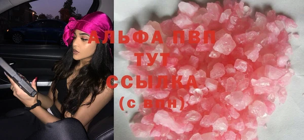 крисы Надым
