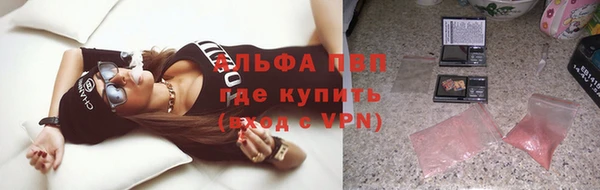 крисы Надым