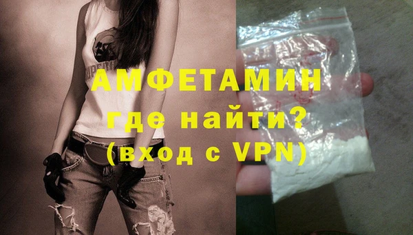 крисы Надым