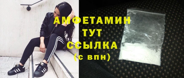 крисы Надым