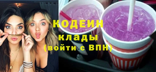 крисы Надым