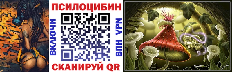 Псилоцибиновые грибы GOLDEN TEACHER  наркошоп  Козловка 